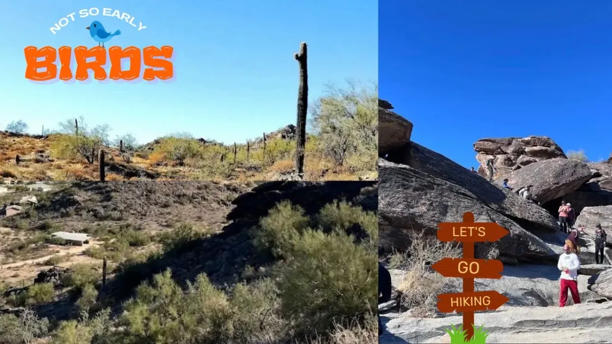 Midday Hike for the Not-So-Early Birds \ud83e\udd89- Mormon Trailhead @ South Mountain