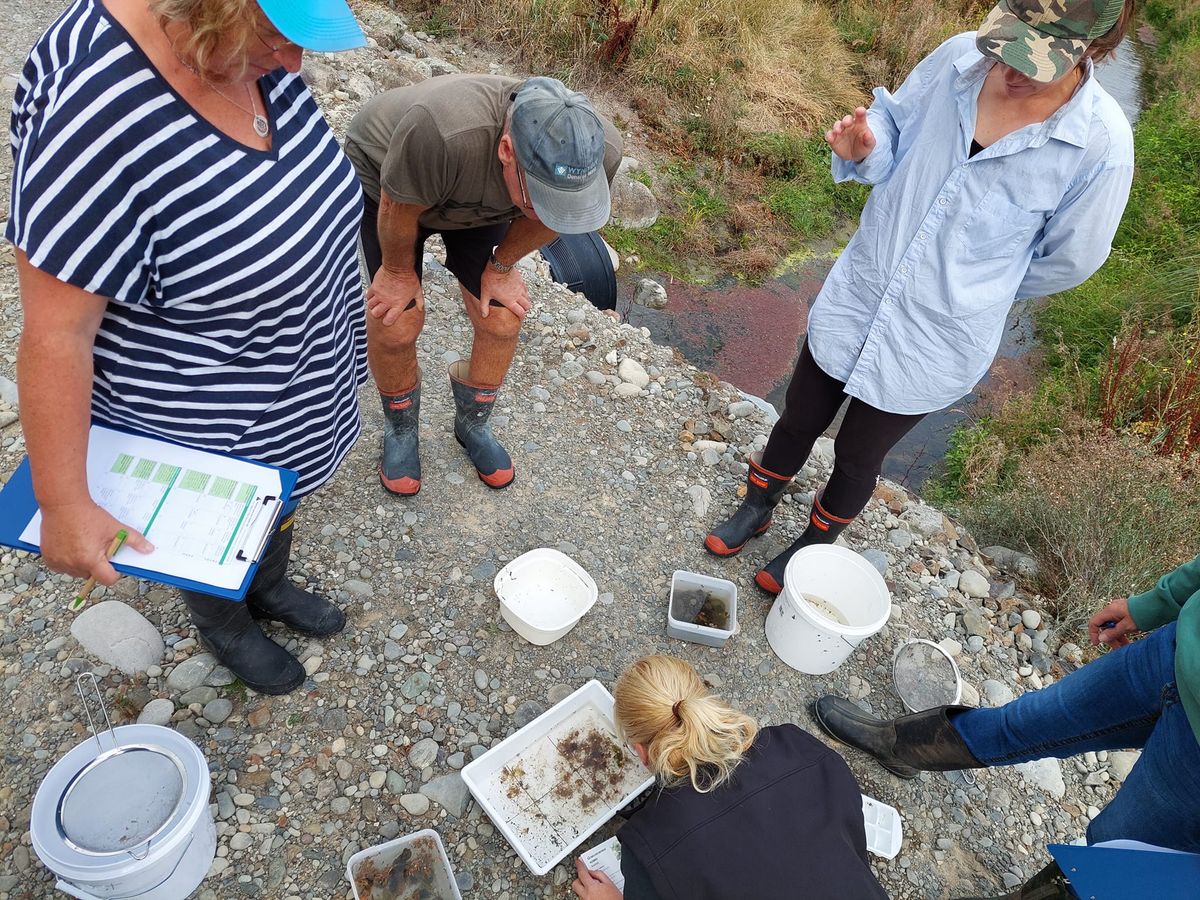 Mid Wairau catchment group scoping workshop