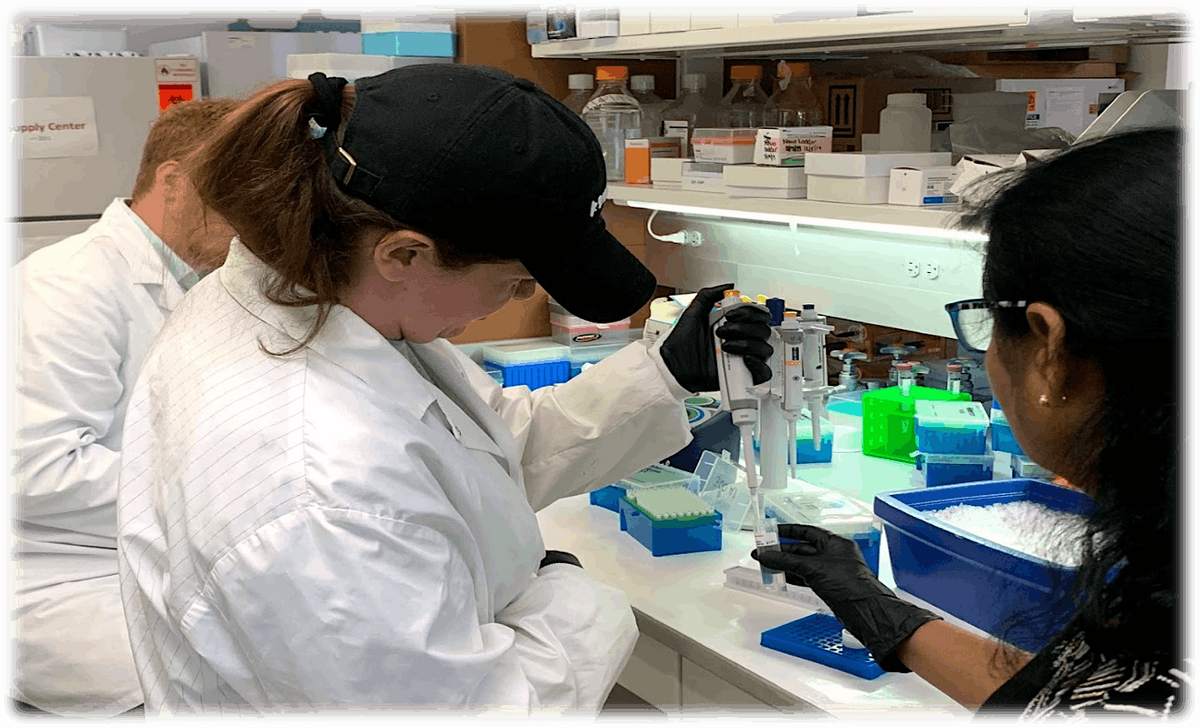 APPLICATION: KY INBRE Wet-Lab Genomics Summer Workshop 2023, UofL ...