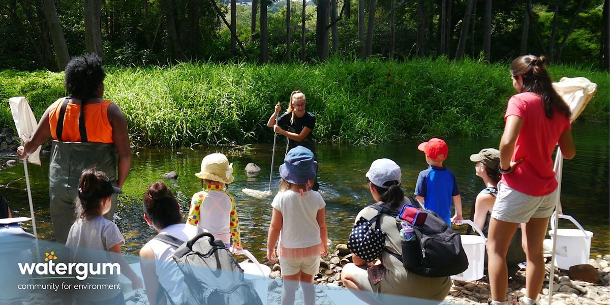 Waterbug Sampling \u2013 Nerang