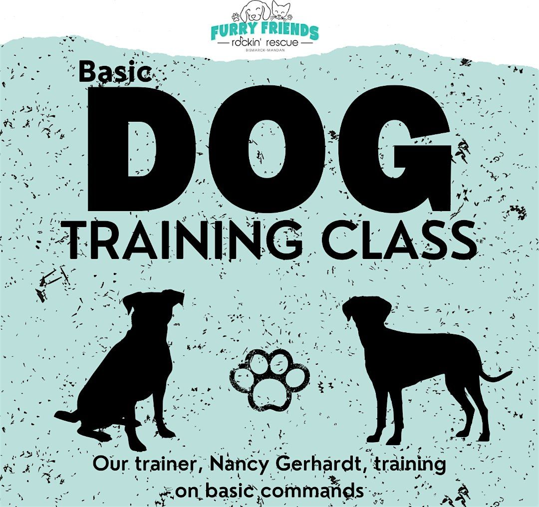 Basic Dog Training