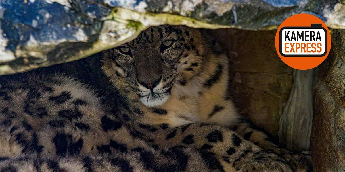 ZOO-SAFARI IN DER WILHELMA