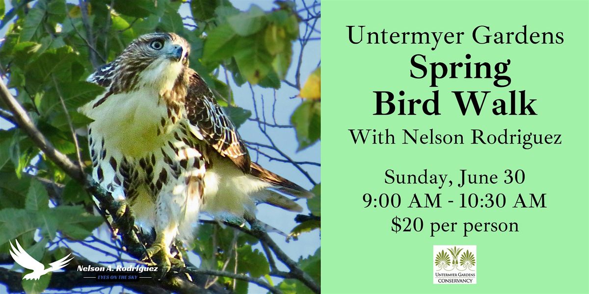 Spring Bird Walk - June 30