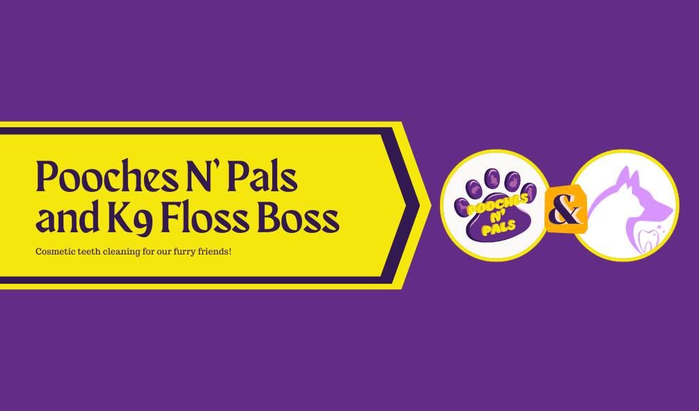 Pooches N' Pals with K9 Floss Boss cosmetic teeth cleaning!