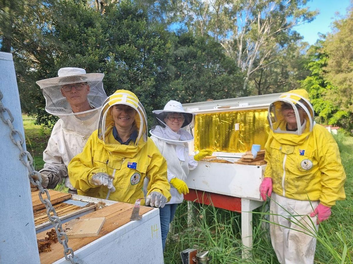 Beekeeping 4 New-Bees, Honey Harvesting, Long Bee Hives , Bee Hive Splits