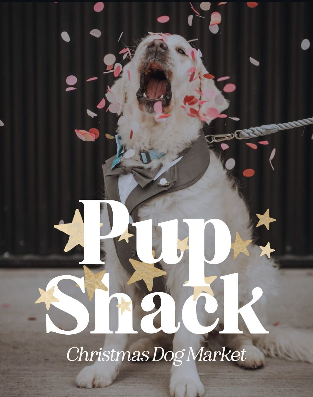 The Pup Shack Christmas Dog Market 