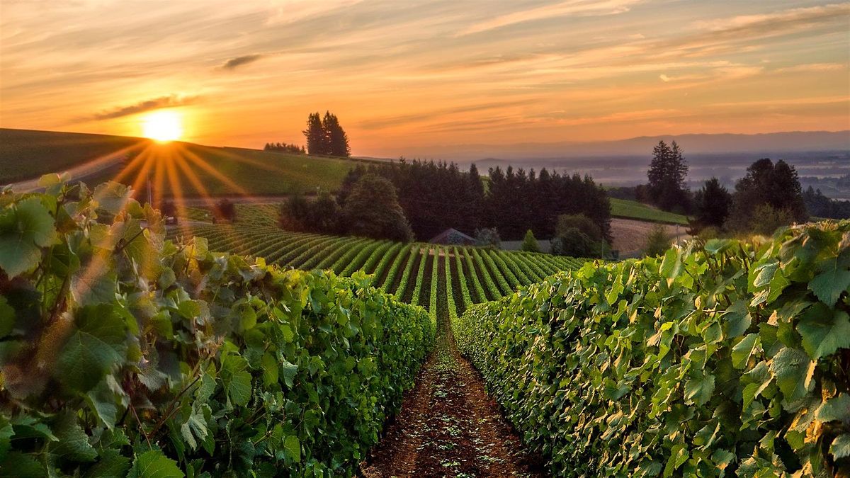 Wednesday Wine Down Tasting: Exploration of Oregon Wines