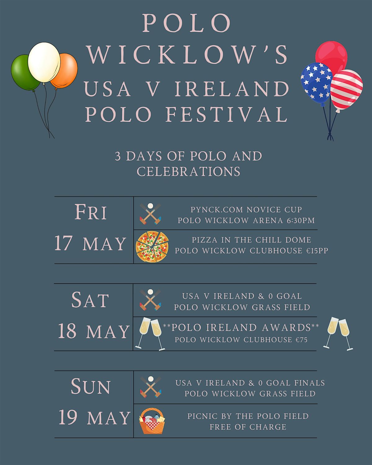 USA V Ireland Polo Festival