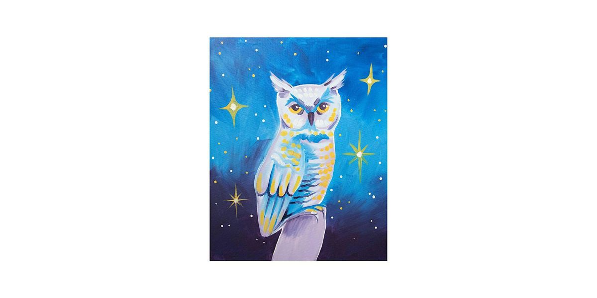 Cosmic Owl Acrylic Painting Class