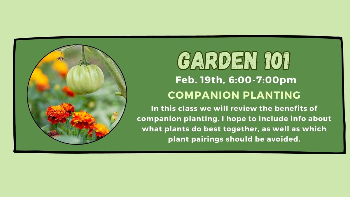 Companion Planting Wednesday