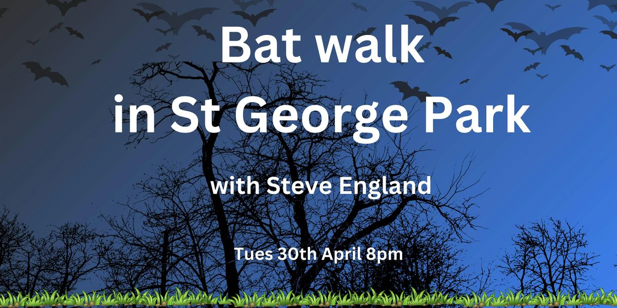 Bat Walk with Steve England (April)