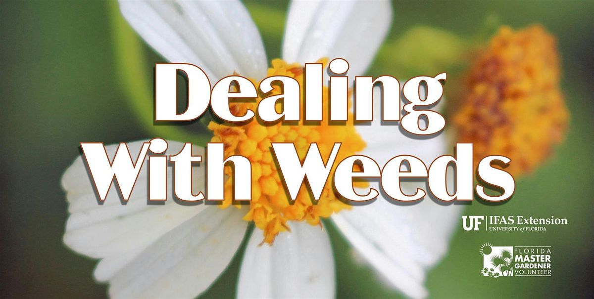 Dealing With Weeds