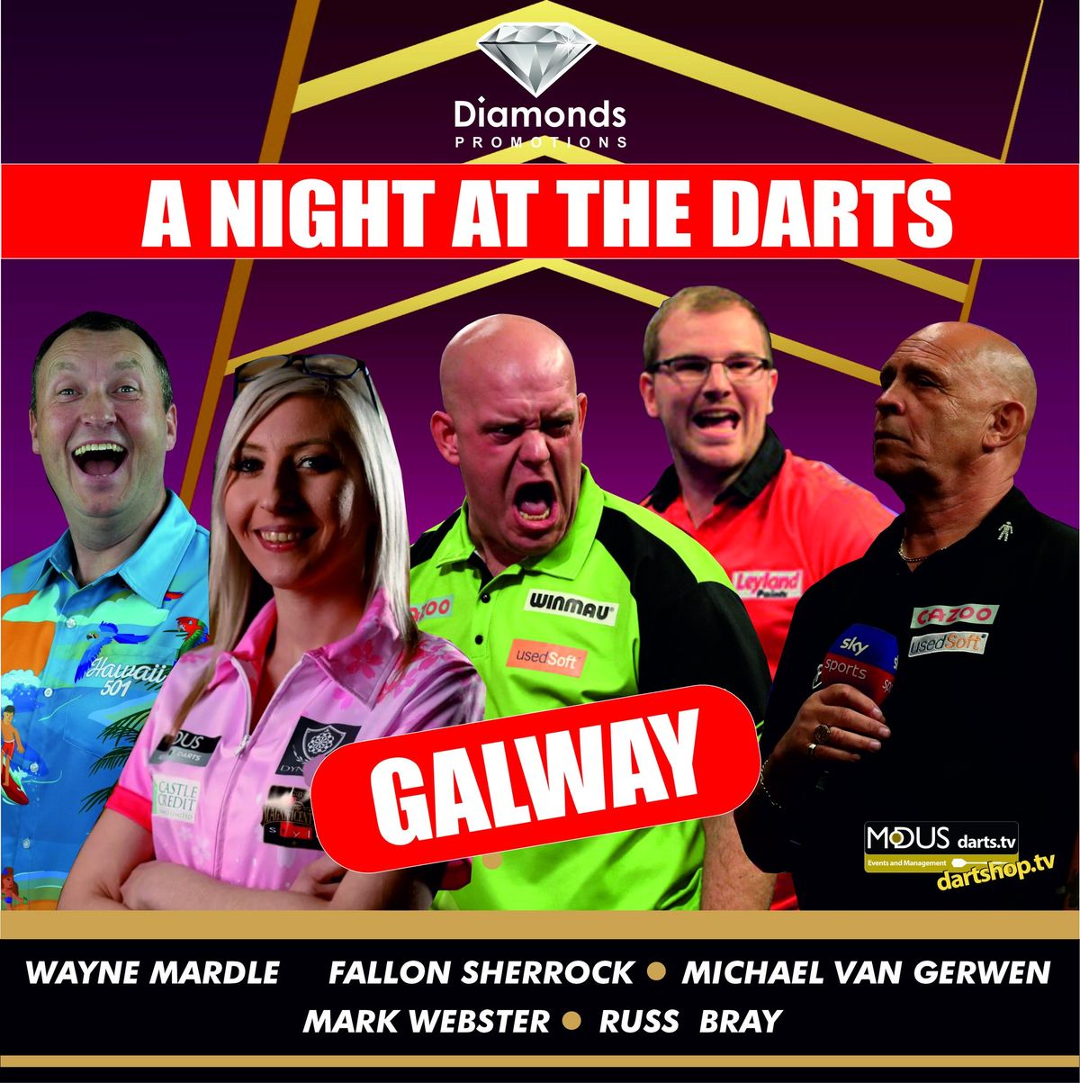 A Night at the Darts Galway