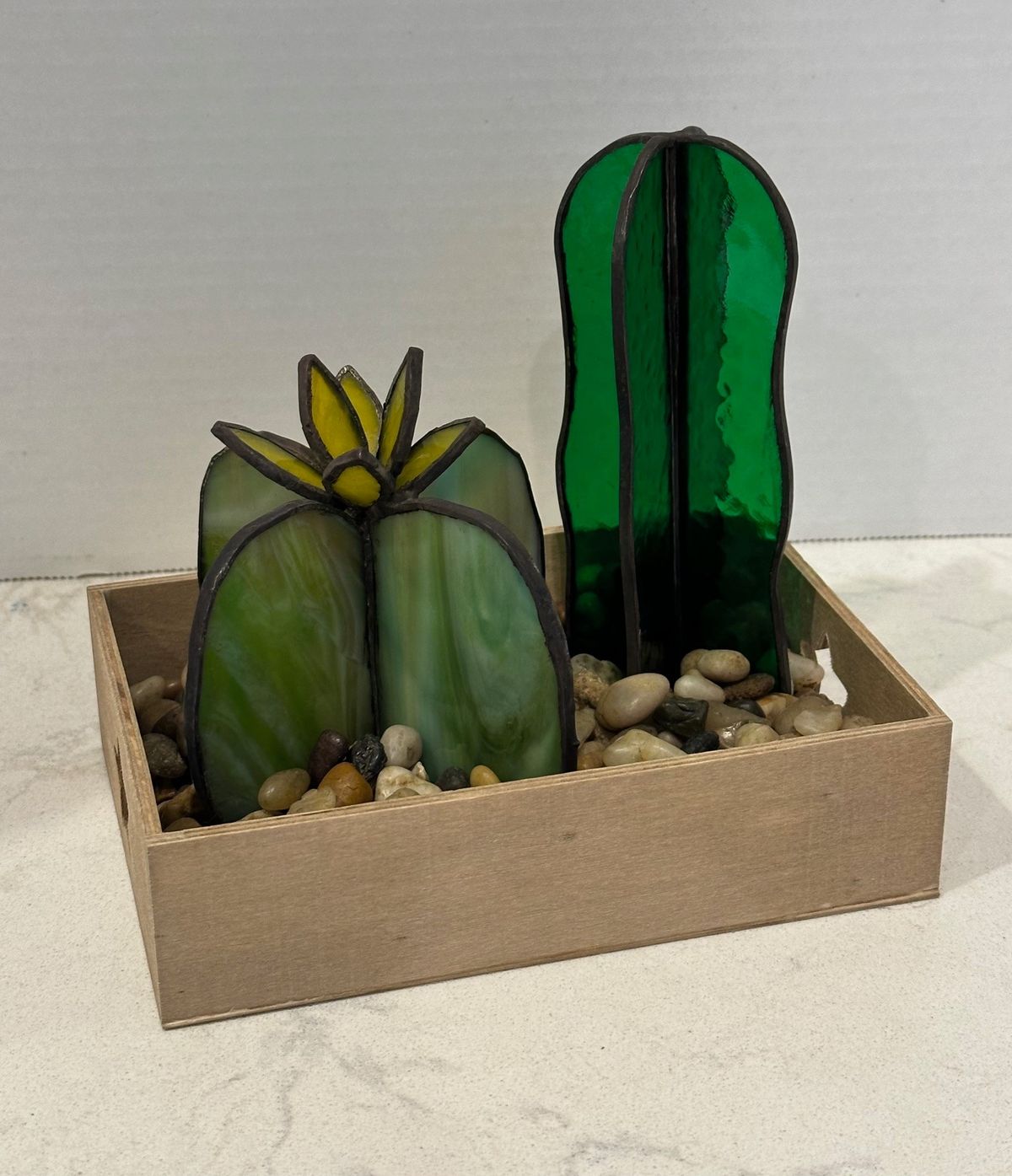 March 9 Cactus Garden or Potted Plant Class at 700 South Deli