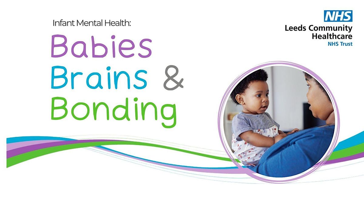 Babies, Brains, & Bonding Training: Tuesday 19th November 2024