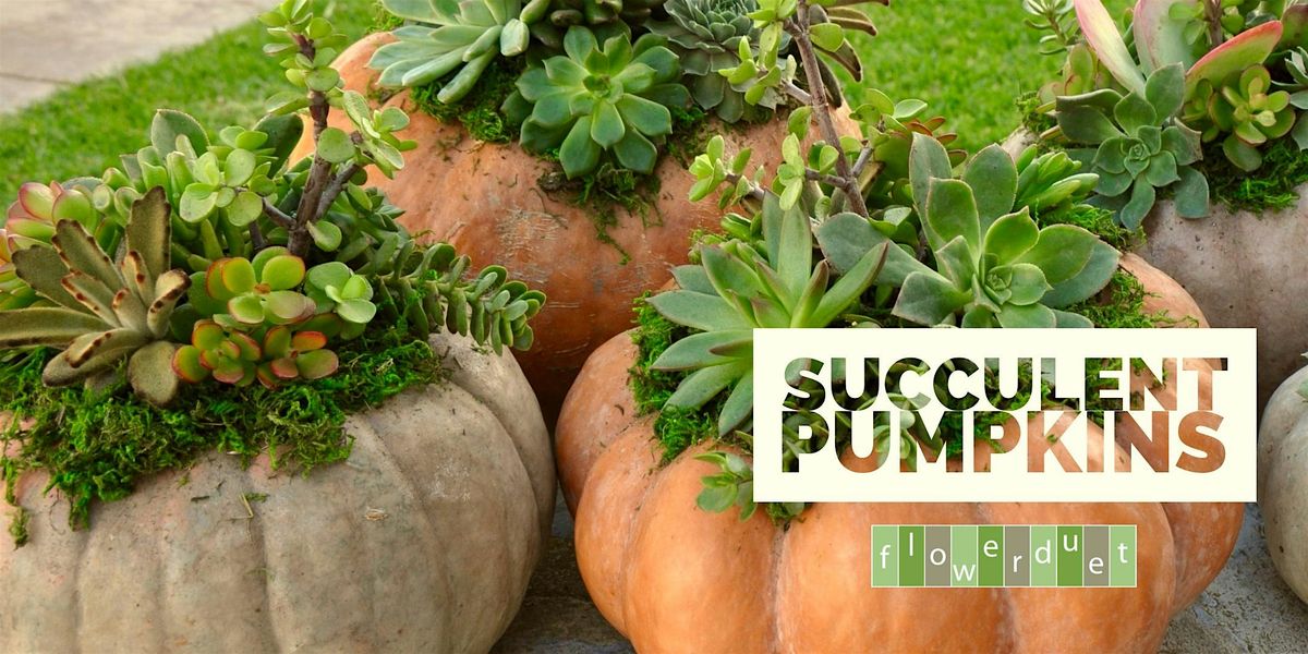 Flower Arranging Class: Succulent Pumpkins