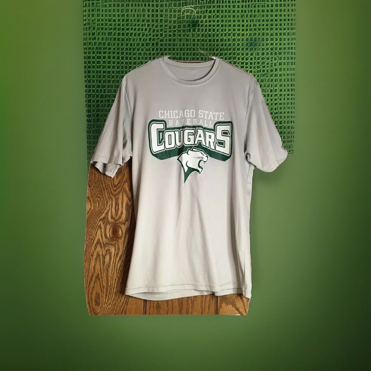 Chicago State Cougars at Fresno State Bulldogs Womens Basketball at Save Mart Center