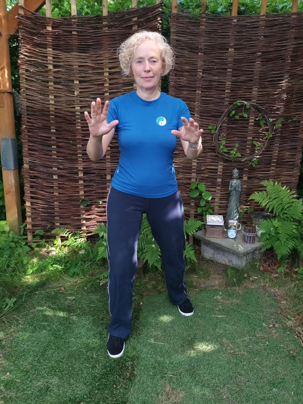 Learn Qigong,  Bashi Set 3, a sequence of 8 moves  A shorter sequence that aims to develop soft and 