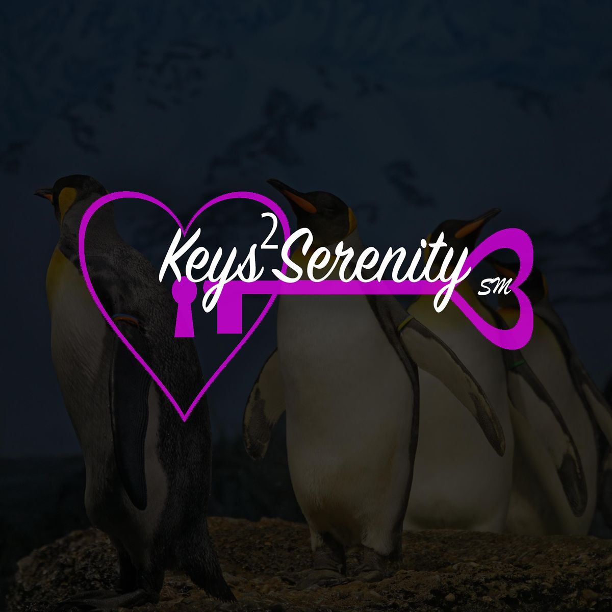 End of school year celebration at the Akron Zoo, 500 Edgewood Ave