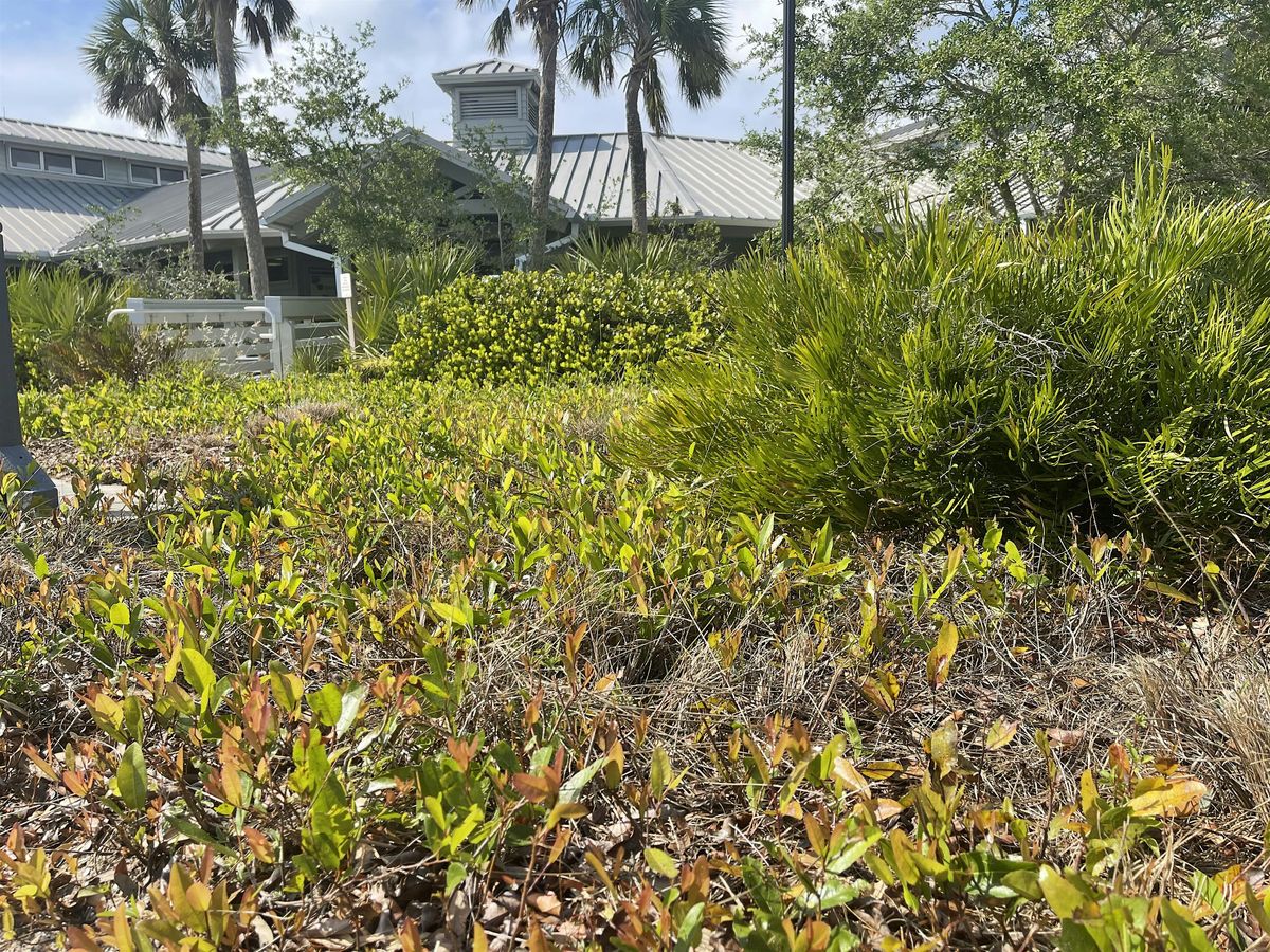 Drought  Tolerant Gardening and Garden Tour