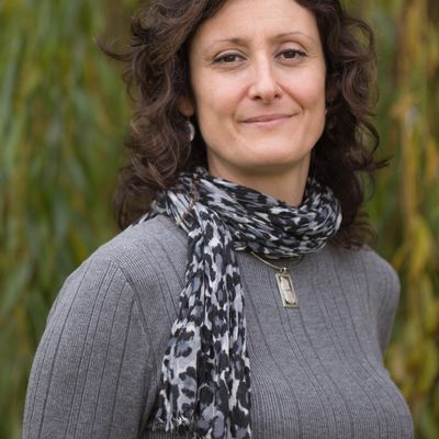 The Missing Link Project