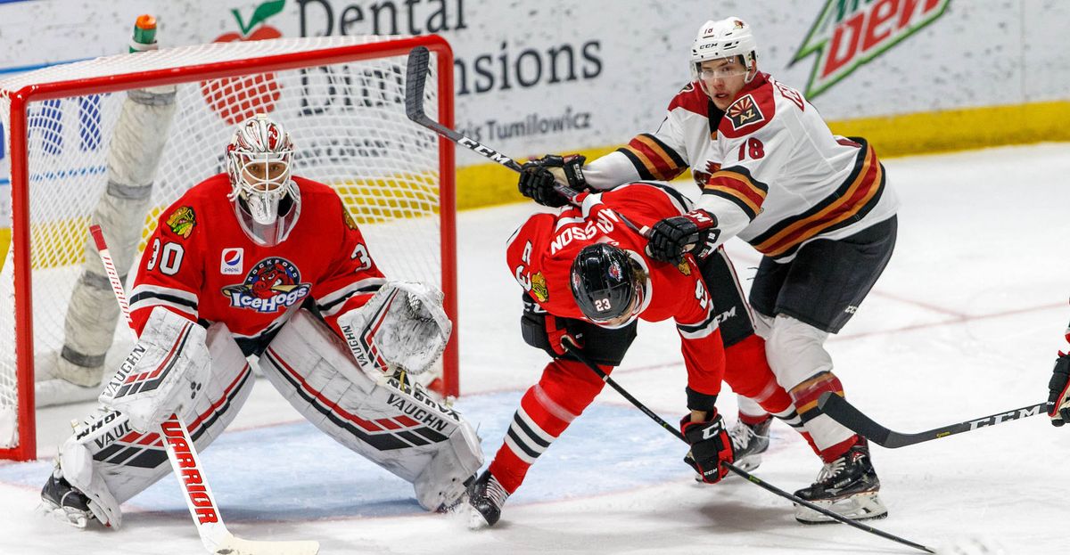 Rockford Icehogs at Tucson Roadrunners