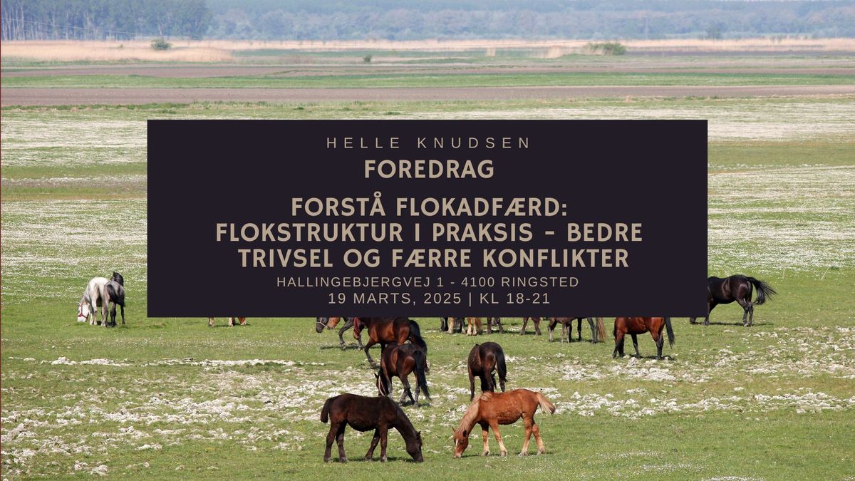 Flokadf\u00e6rd 1