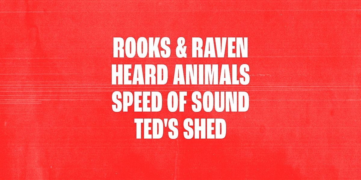 Rooks & Raven \/ Heard Animals \/ Speed of Sound \/ Ted's Shed
