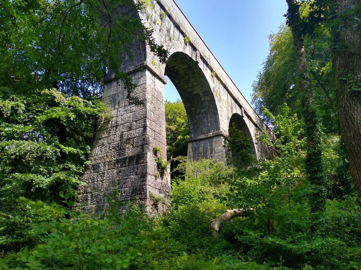 Booking Needed -- Kernow Boots (Young Ramblers): Luxulyan Valley Circular