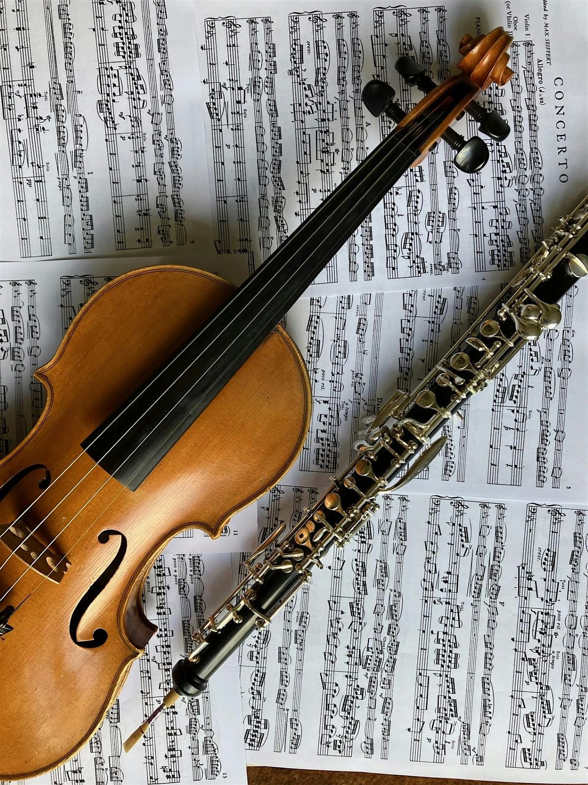 Lunchtime Recital: Concerto for Oboe and Violin - J.S. Bach