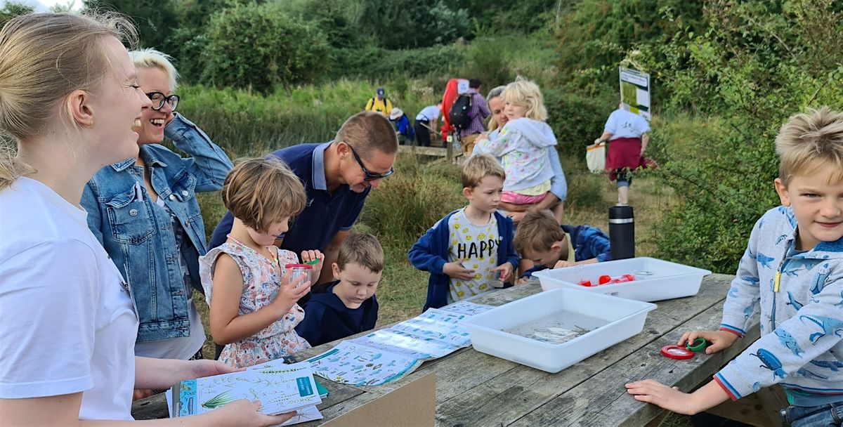 Hinksey Heights Nature Day - Afternoon Pond Dipping!