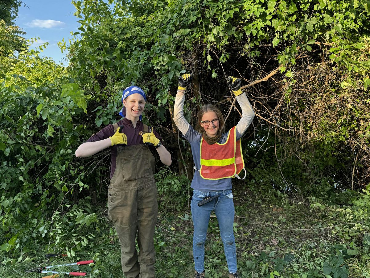 MLK Day of Service: Invasive vegetation removal near National Landing