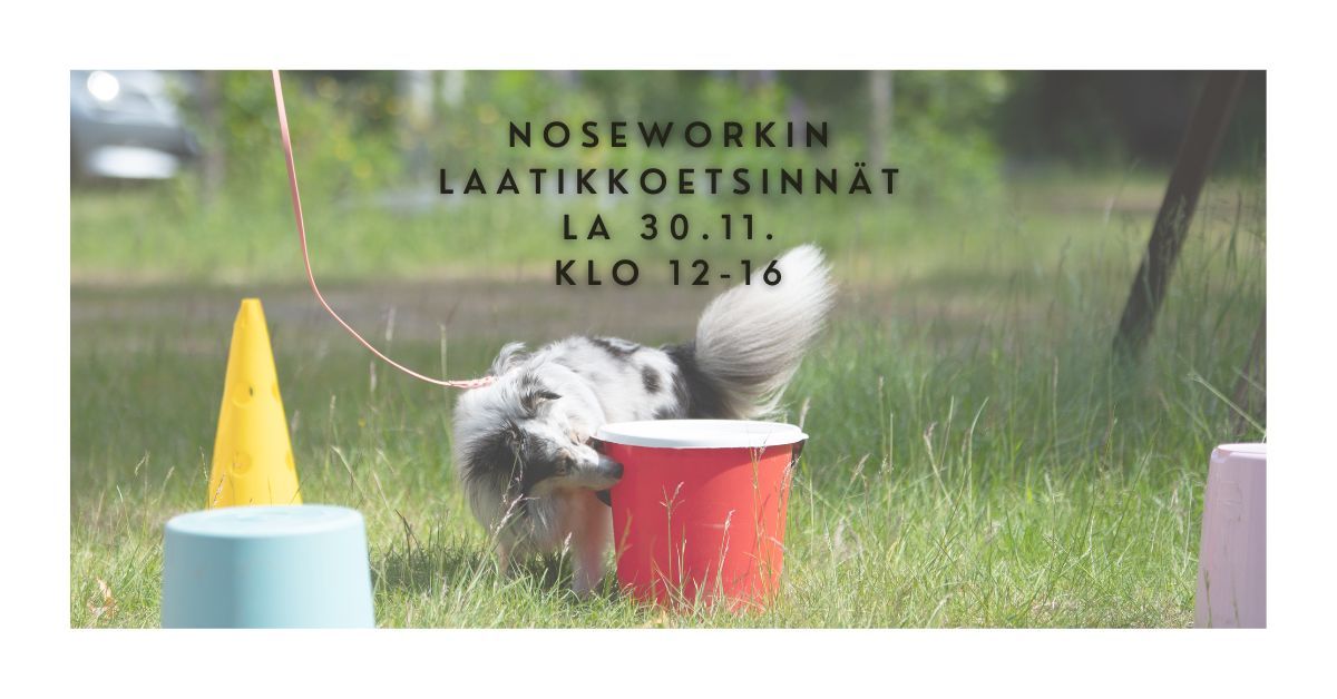 POP UP NOSETREENIT | LAATIKKOETSINT\u00c4 | Kuopio