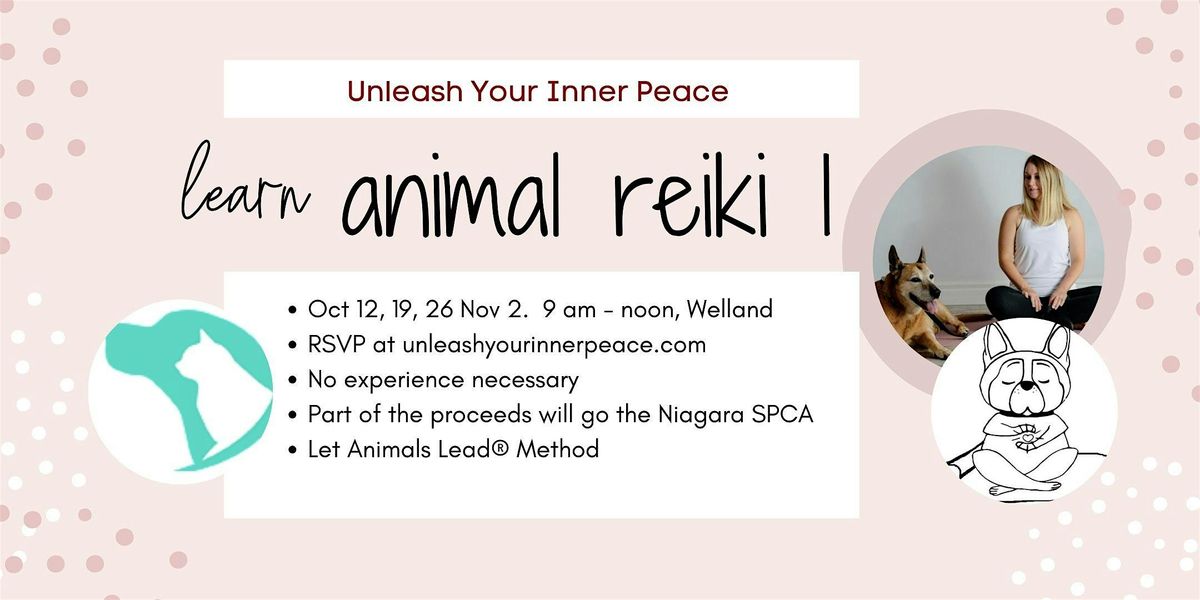 Learn Animal Reiki 1 - Let Animals Lead\u00ae Method (4 sessions)