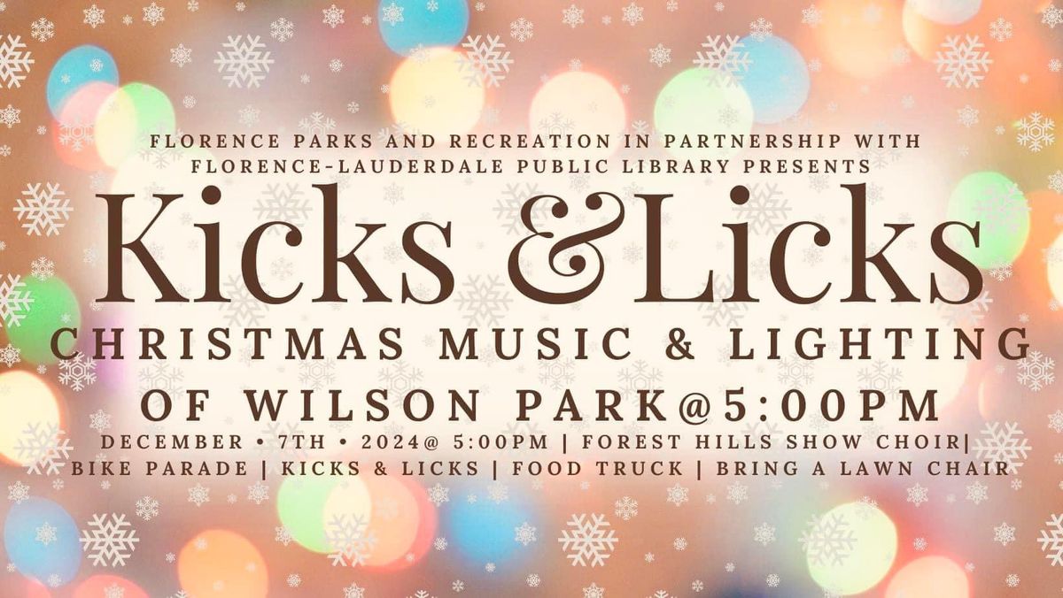 Lighting of Wilson Park