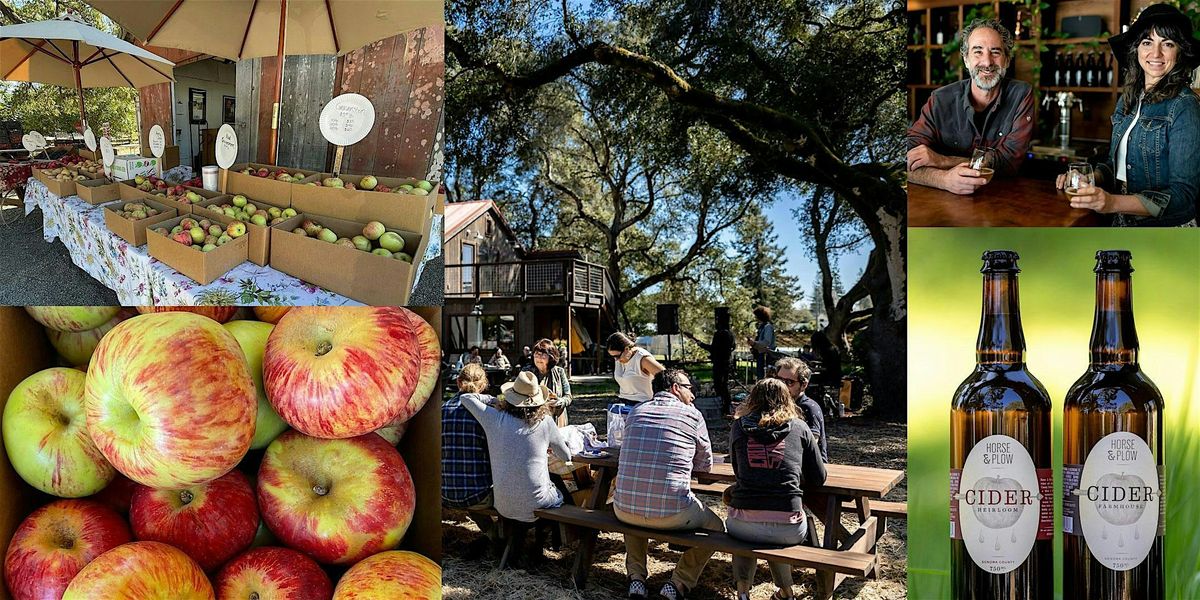 Enjoy a Tour of  Hale's Apple Farm and Hard Cider Tasting at Horse and Plow