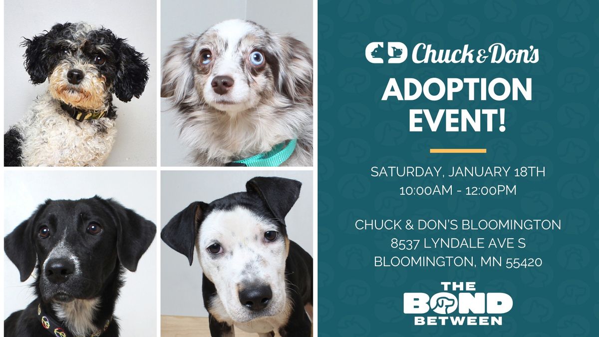 Dog Adoption Event at Chuck & Don's Bloomington!