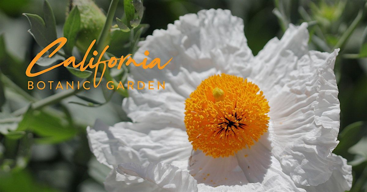 California Botanic Garden Events Showcase