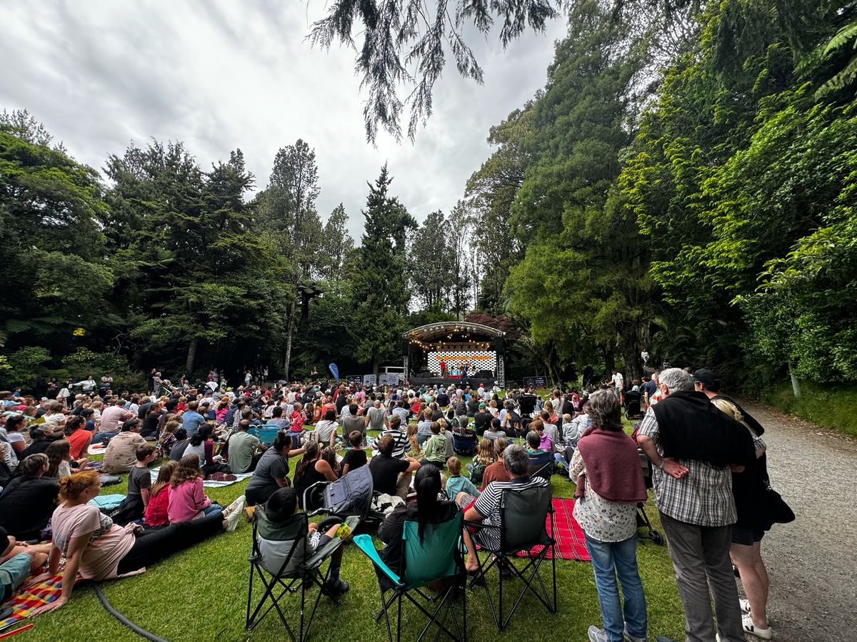 Taranaki Symphony Orchestra | TSB Festival of Lights