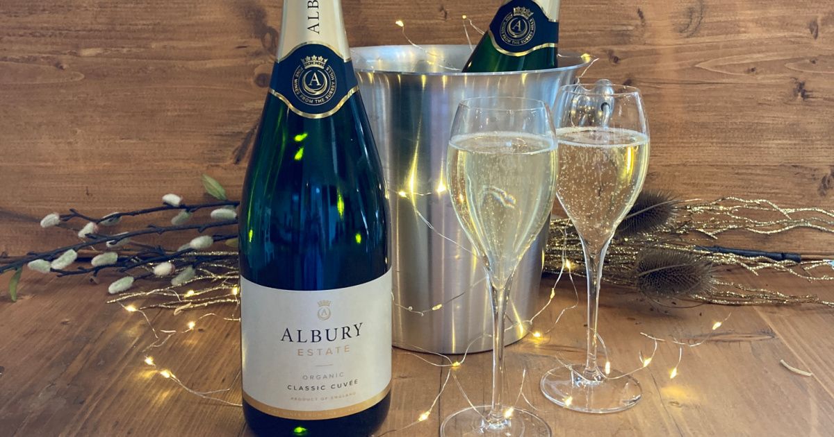 Christmas Sparkling Wine Tasting