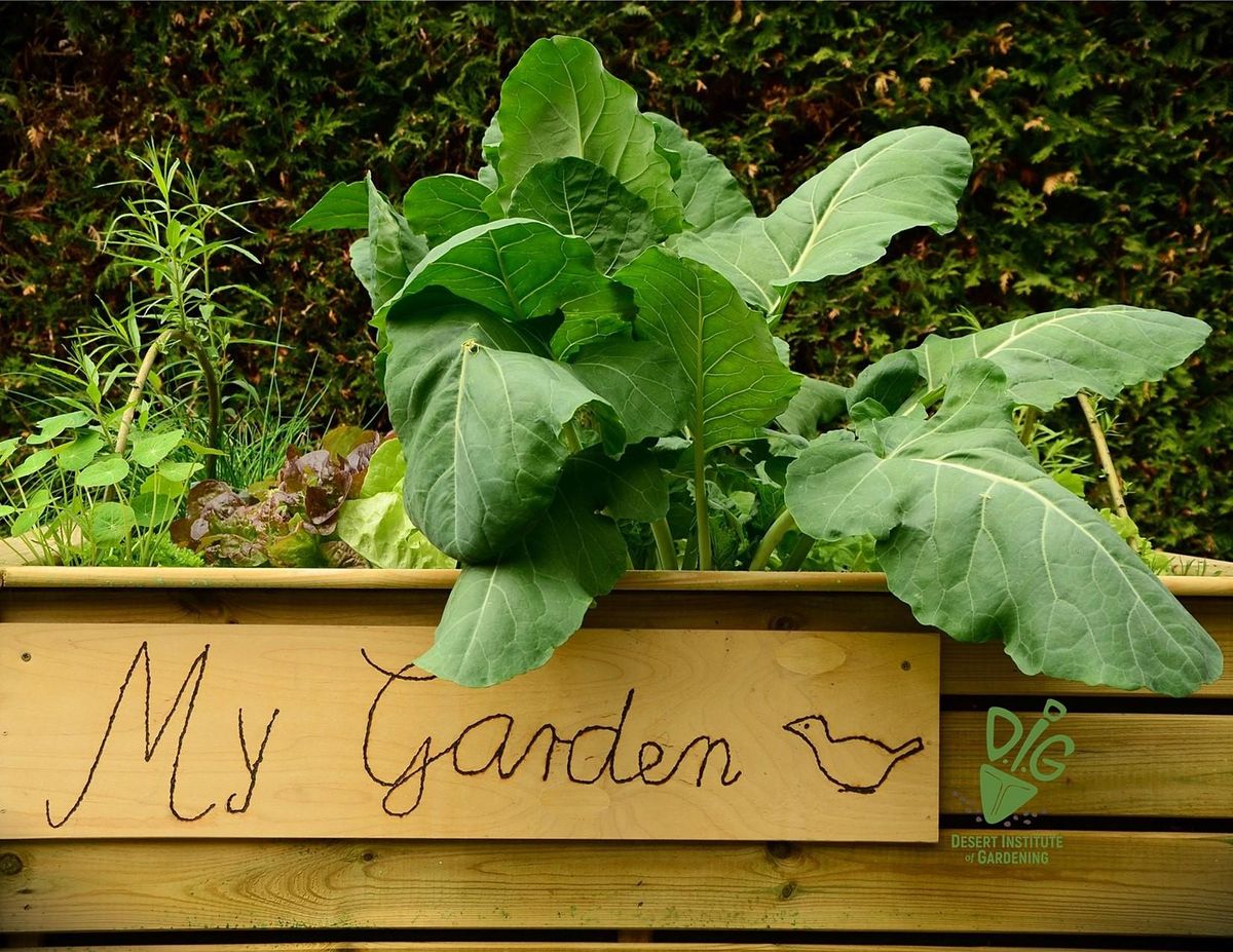 DIG ONLINE: Ready, Set, Grow with a Raised Bed