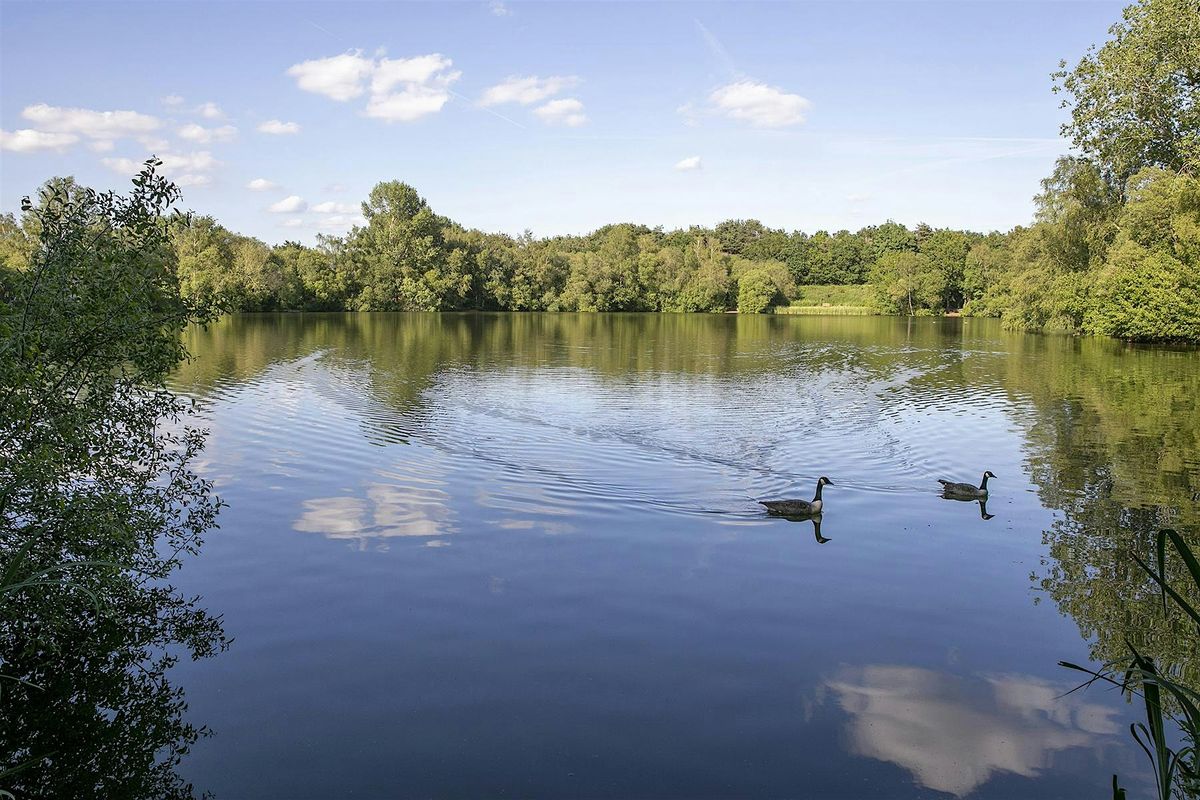 Wellesley Woodlands Health Walk - Chalk Farm Lake