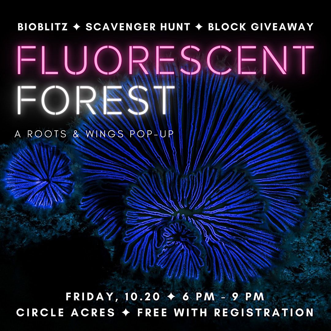 Fluorescent Forest: An Official Roots & Wings Festival Pop-up Event