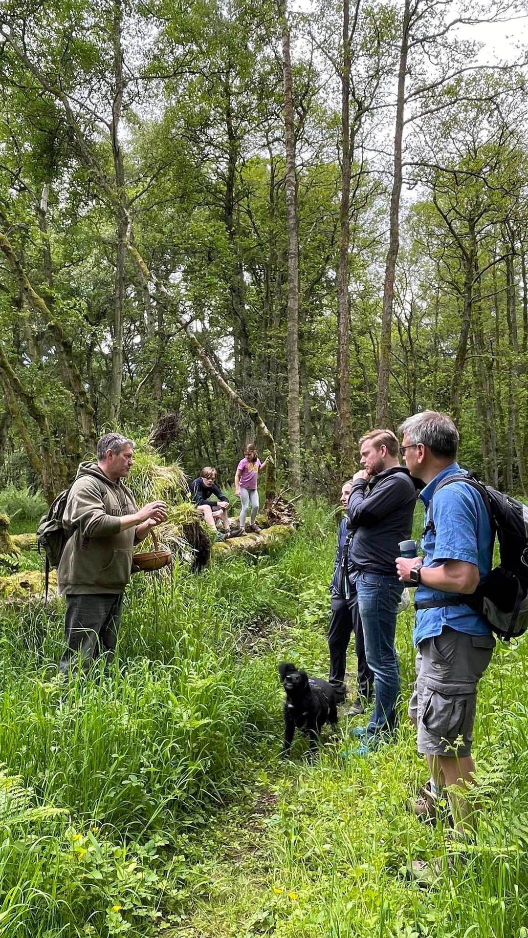 Foraging, Hedgerow Cooking & Herbal Tea-Making Workshop