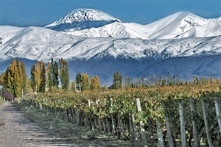 Taste and Nibble: Bordeaux and Argentina