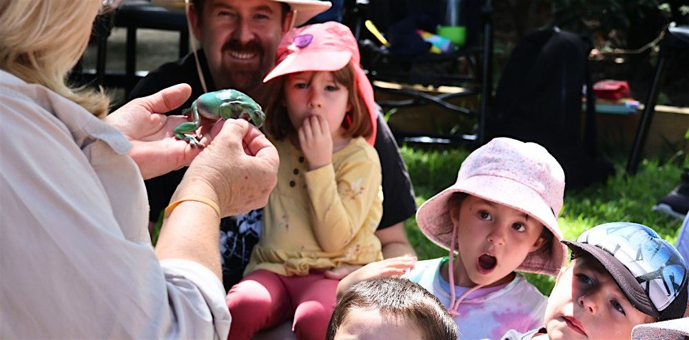 School Holidays: Australian Wildlife Display - Wollongong Library [Ages 5+]