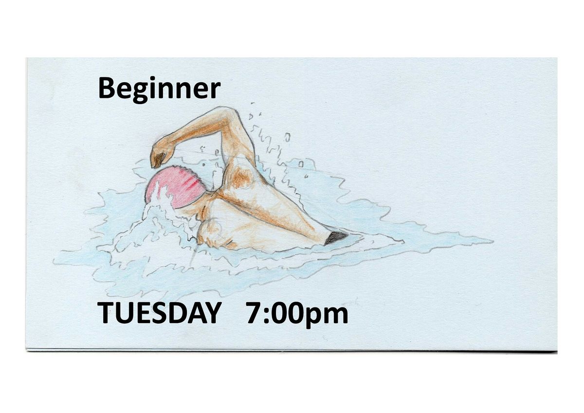 Front Crawl Beginners 8 Week Course for Adults. TUESDAY 7pm Sept to Oct