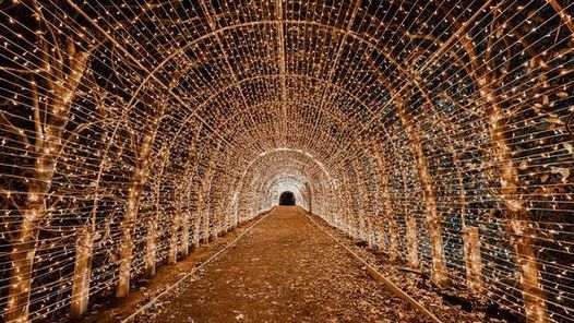 Nycs Best Holiday Lights New York New York 11 January 2022 Nyc Holiday Reception 2022