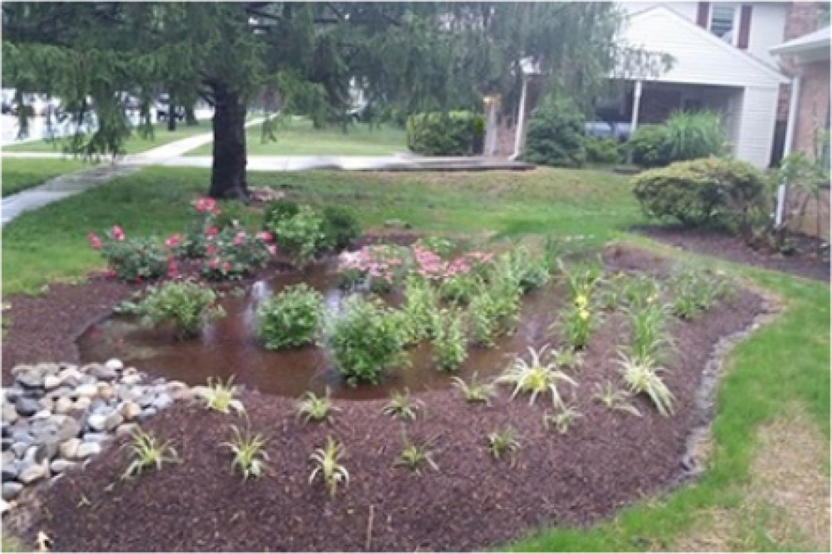 Garden Club: Managing Stormwater Runoff and Increasing Biodiversity with Ra