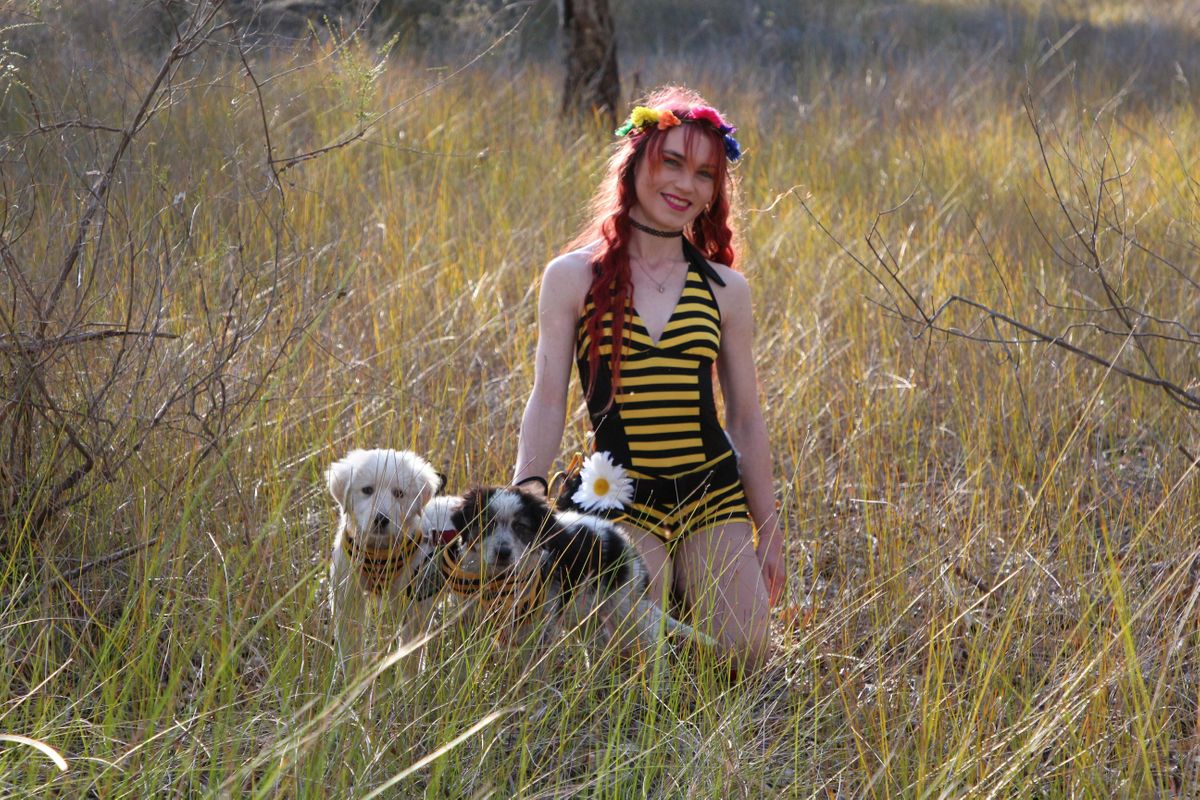 Australian Native Bee Talk with Dr Kit Prendergast